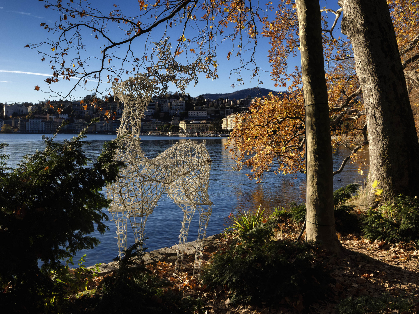 Renna sul lungolago di Lugano