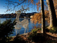 Renna sul lungolago di Lugano