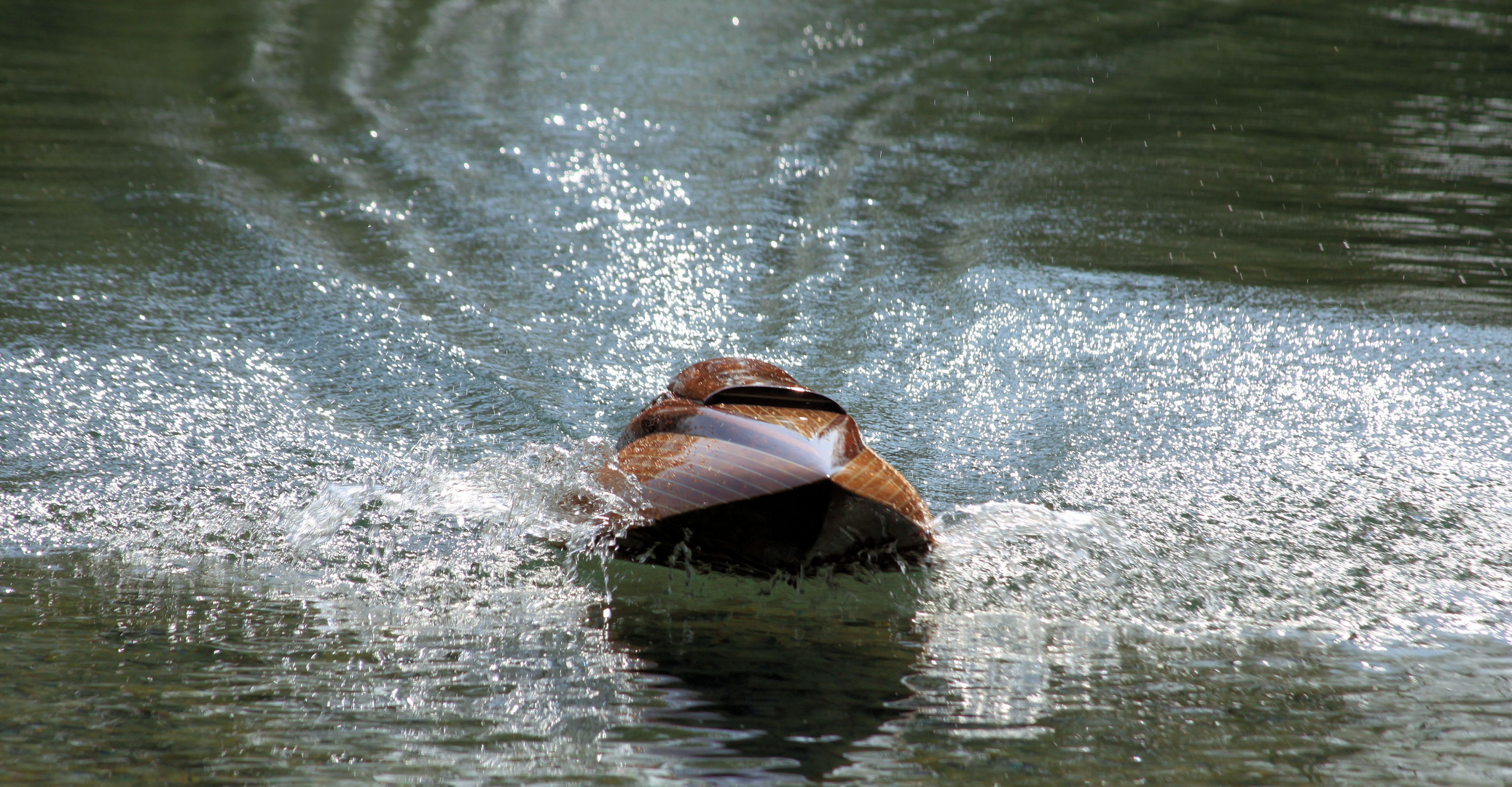 Rennboot am Waldschwaigsee