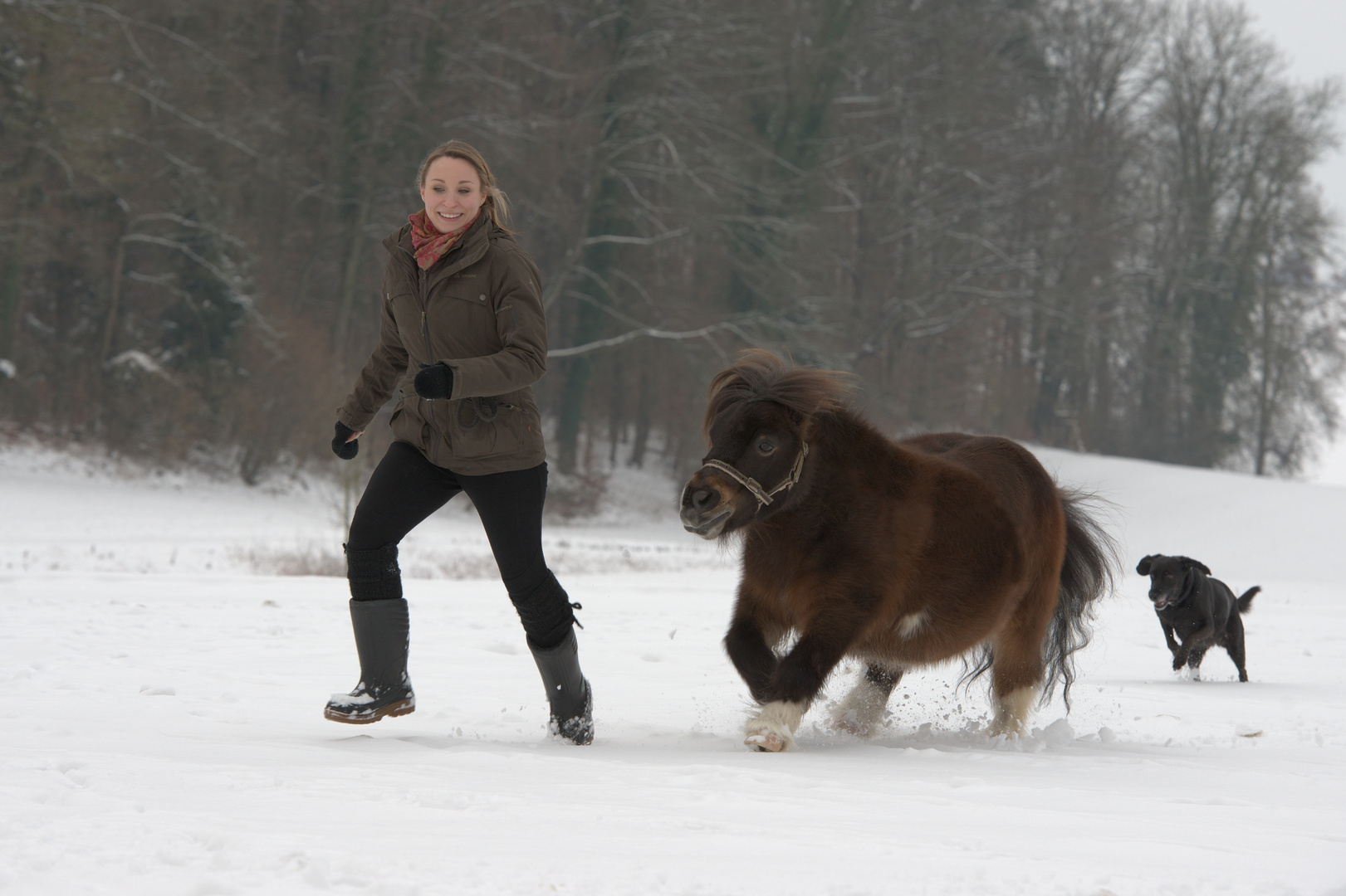 Rennen im Schnee