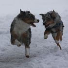 - Rennen im Schnee -