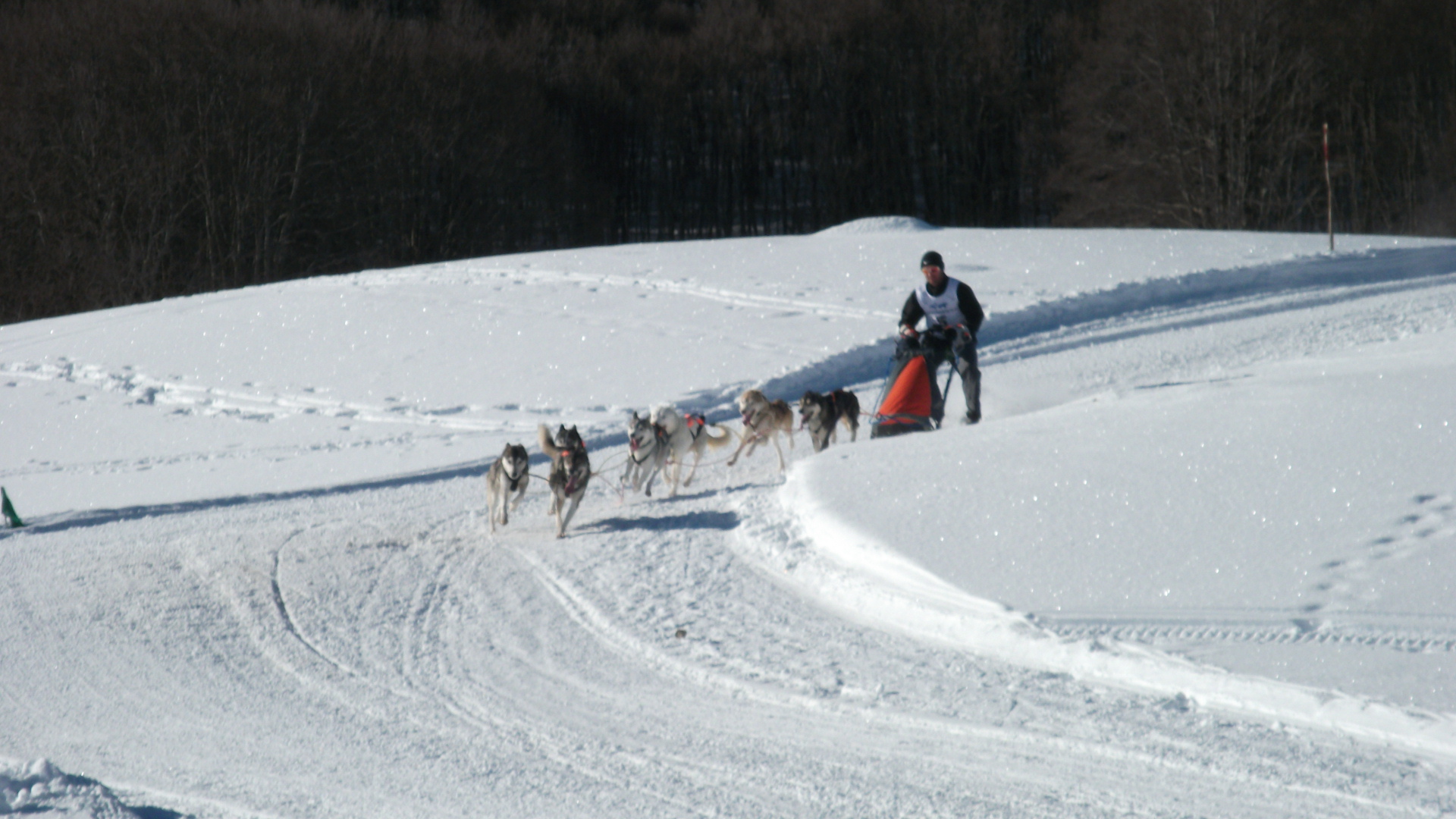 Rennen in Campo It. 2011