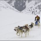 Rennen in Sportgastein