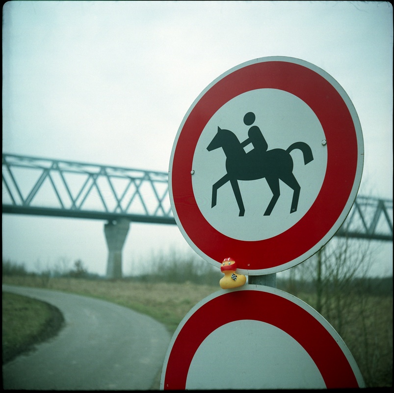 Rennentchen lässt auf km 23.475 keine Pferde durch.