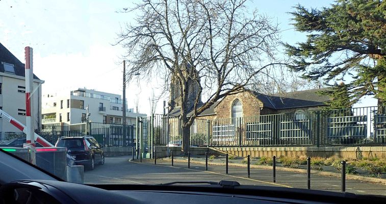 Rennes arbre et clocher 