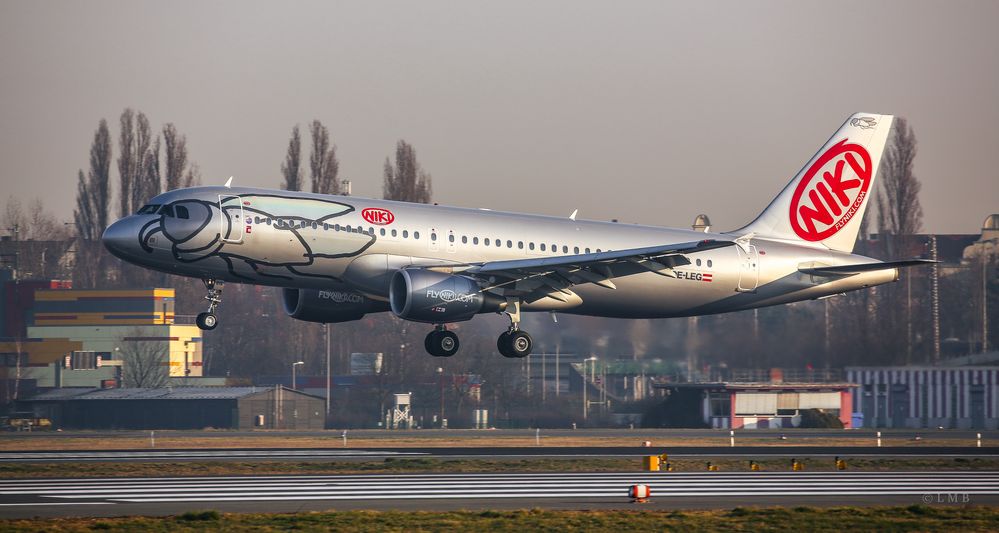 Rennfahrerflieger im Morgendunst