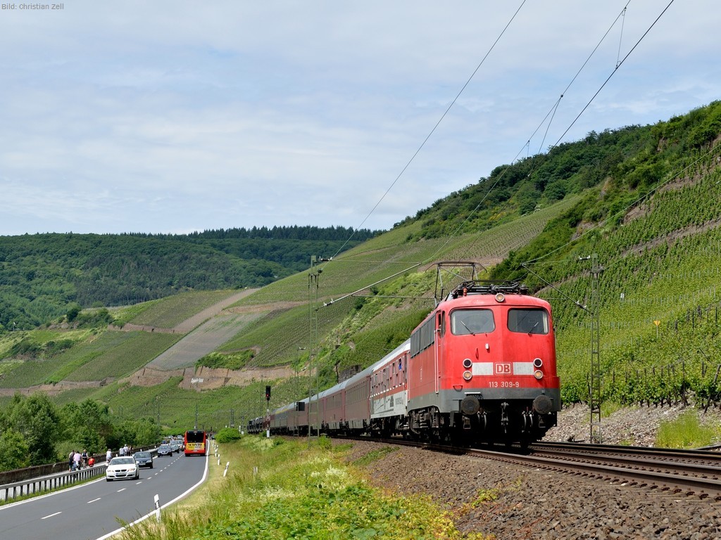 Rennfalte im Bopparder Hamm