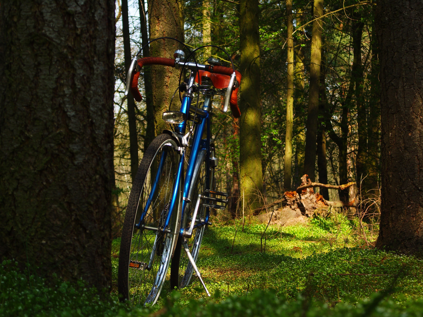 Rennrad auf Umwegen