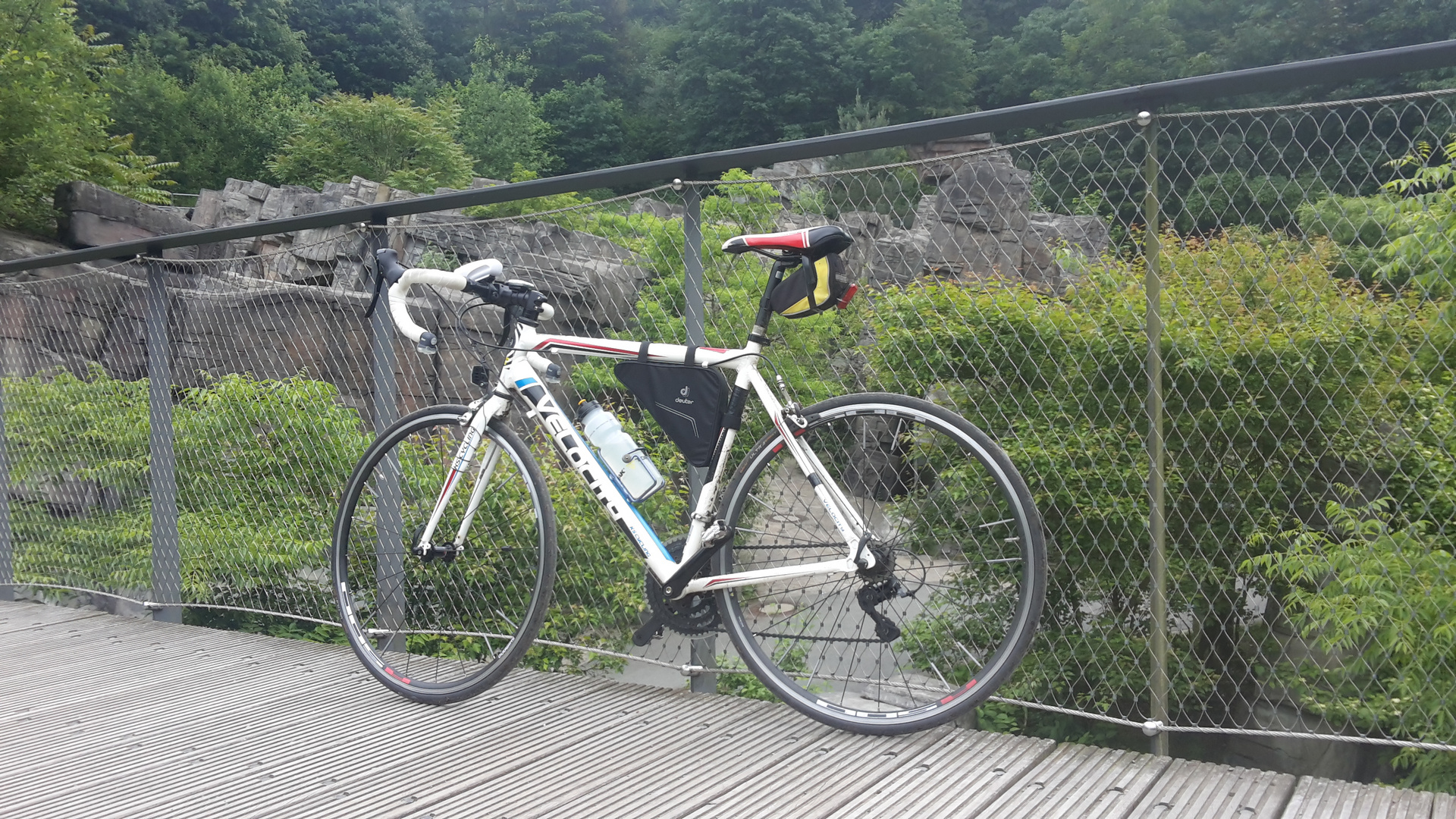 Rennrad über dem Zoo/Wuppertal