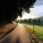 Rennradfahrer im Abendlicht.