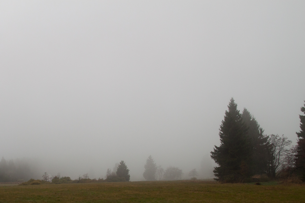 Rennsteig im Nebel