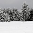 ...Rennsteig - Thüringer Wald