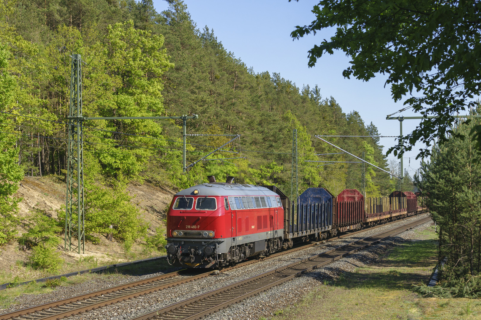 Rennsteigbahn- Leerholzzug