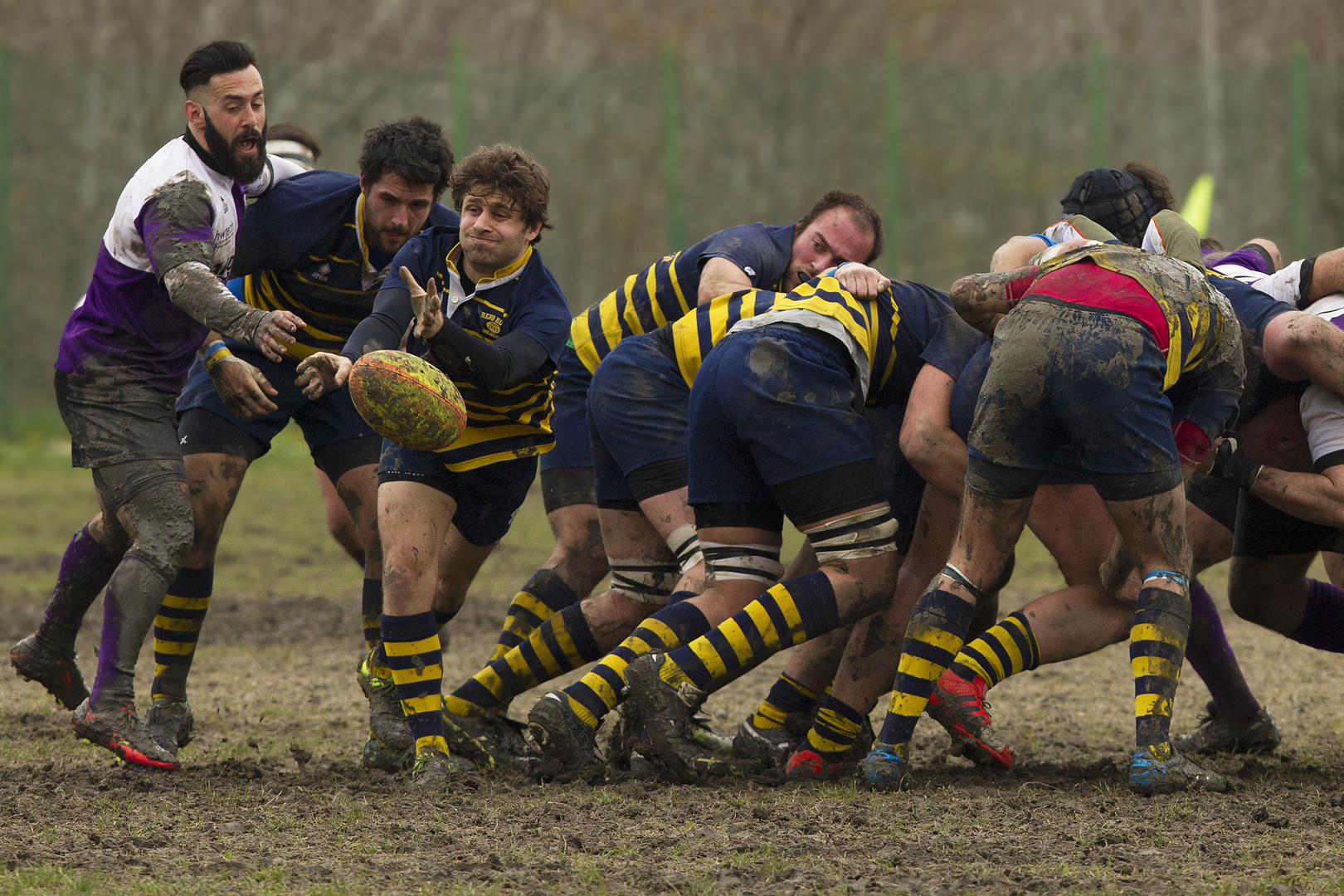 Reno Rugby Bologna