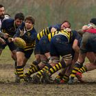 Reno Rugby Bologna