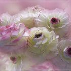 Créations florales 