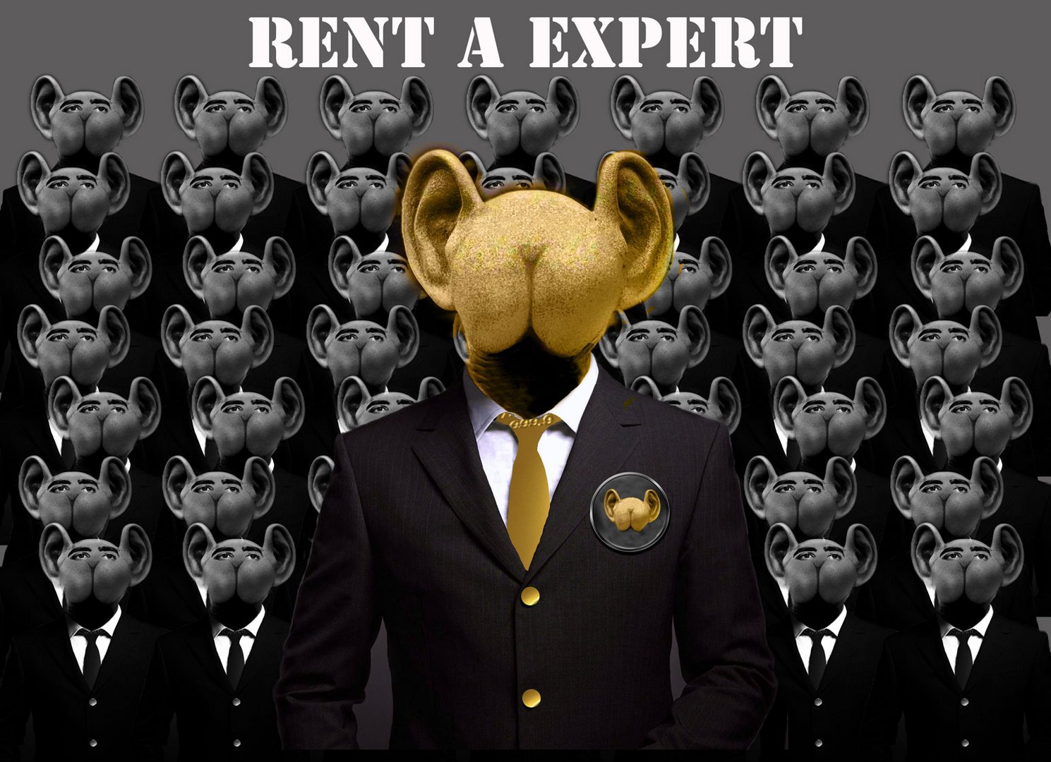 rent a expert