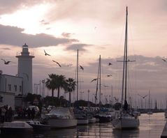 rentrée au port