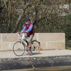 Rentrer tranquillement à la maison par le pont-canal