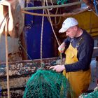 Repairing Nets