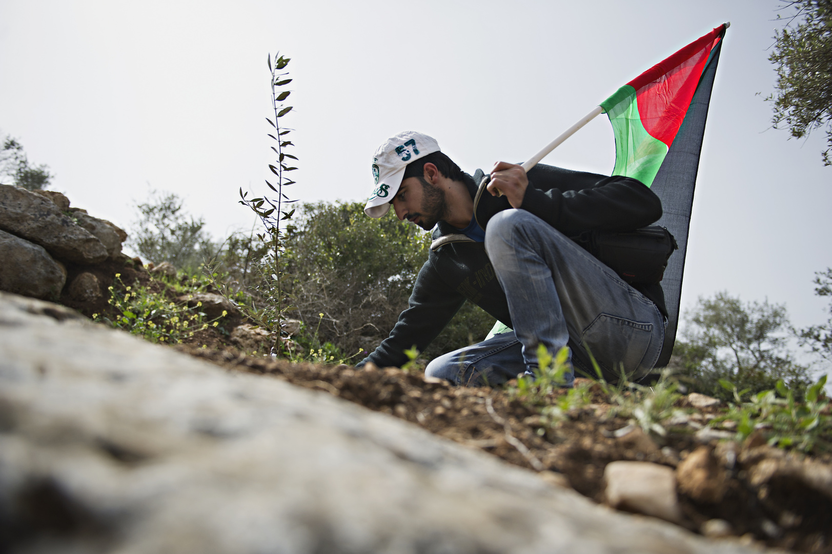 replant palestine