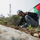 replant palestine