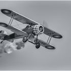 Réplique du Nieuport 28