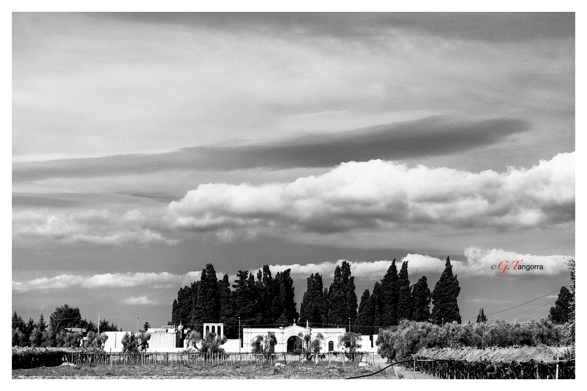 reportage a capurso (veduta panoramica cimitero)