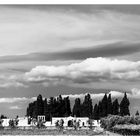 reportage a capurso (veduta panoramica cimitero)