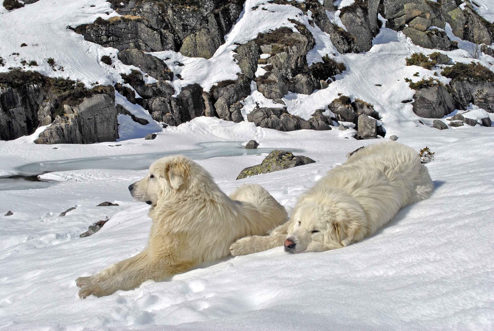 Repos bien mérité