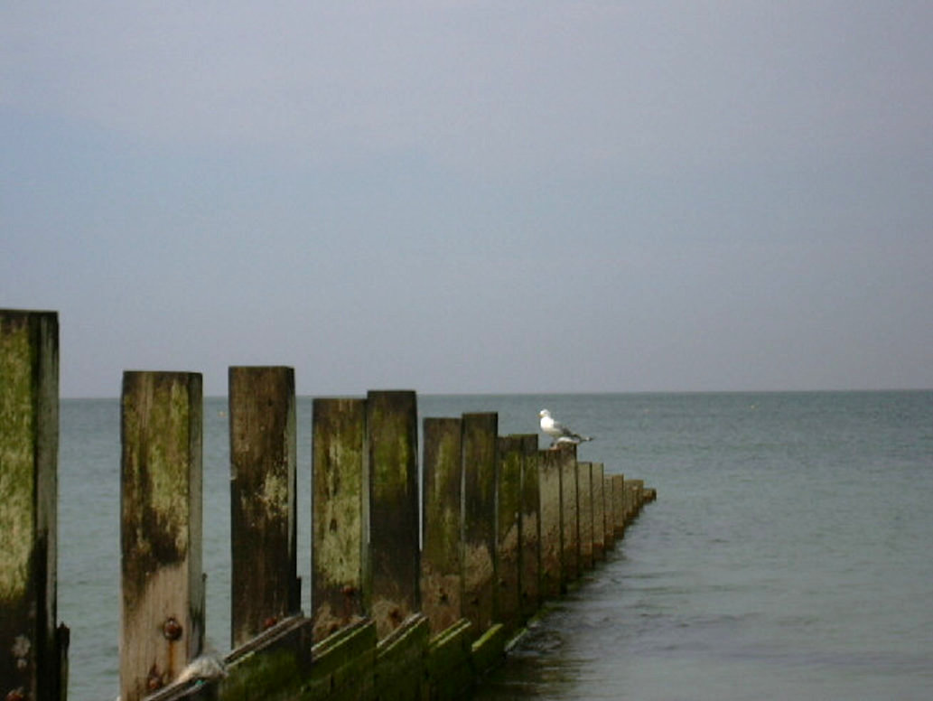 repos de la mouette