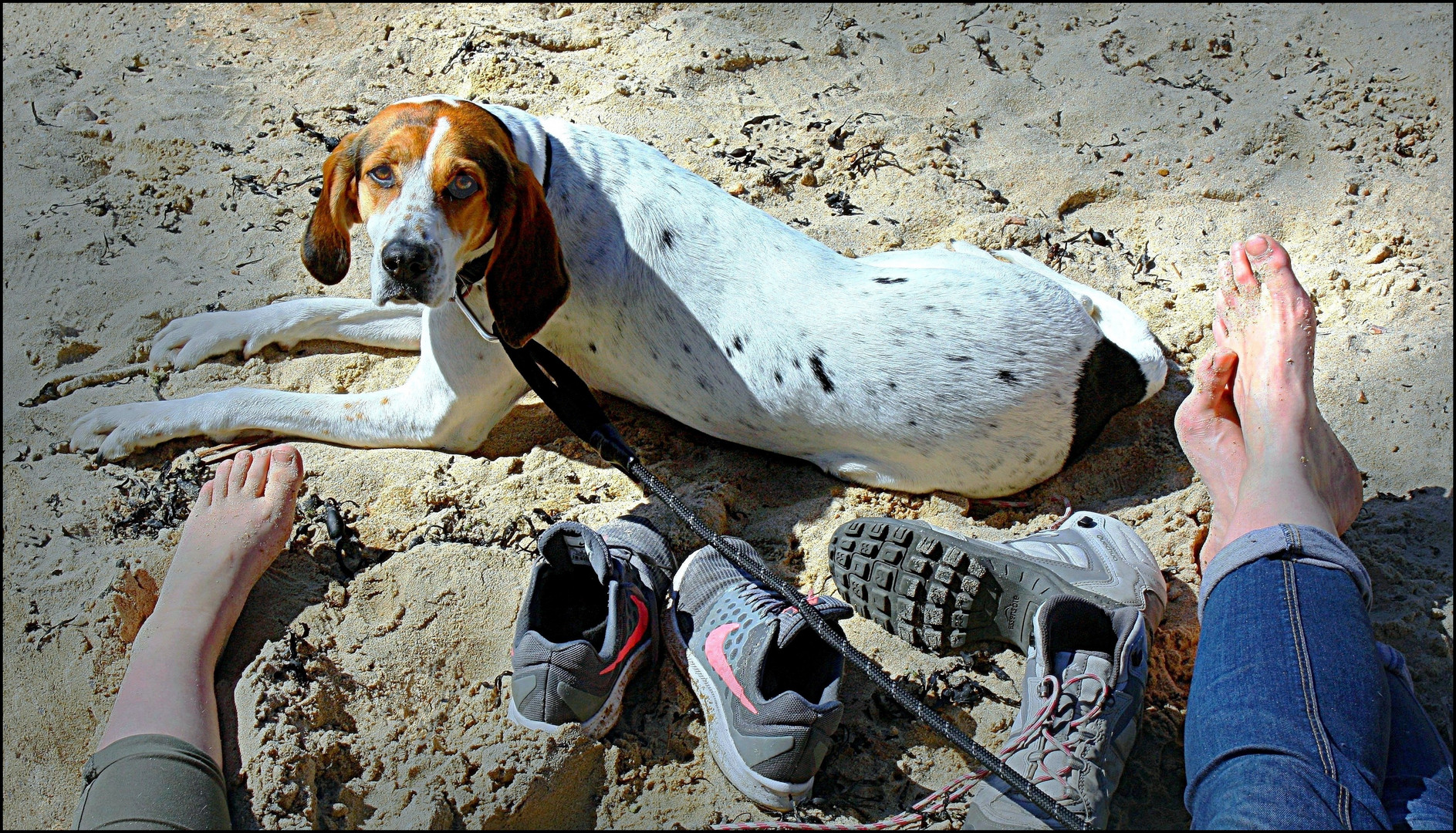 Repos des pattes, repos des pieds...