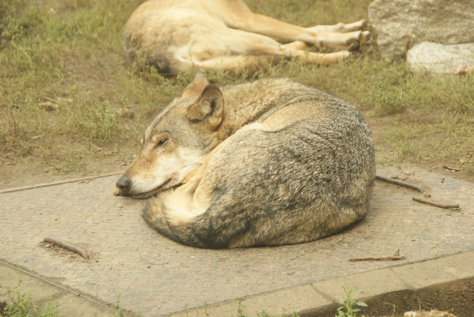 repos du guerrier