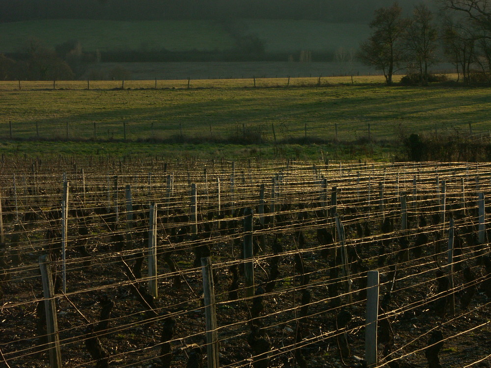 Repos en bourgogne