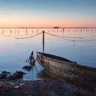 Repos en el delta de l'Ebre