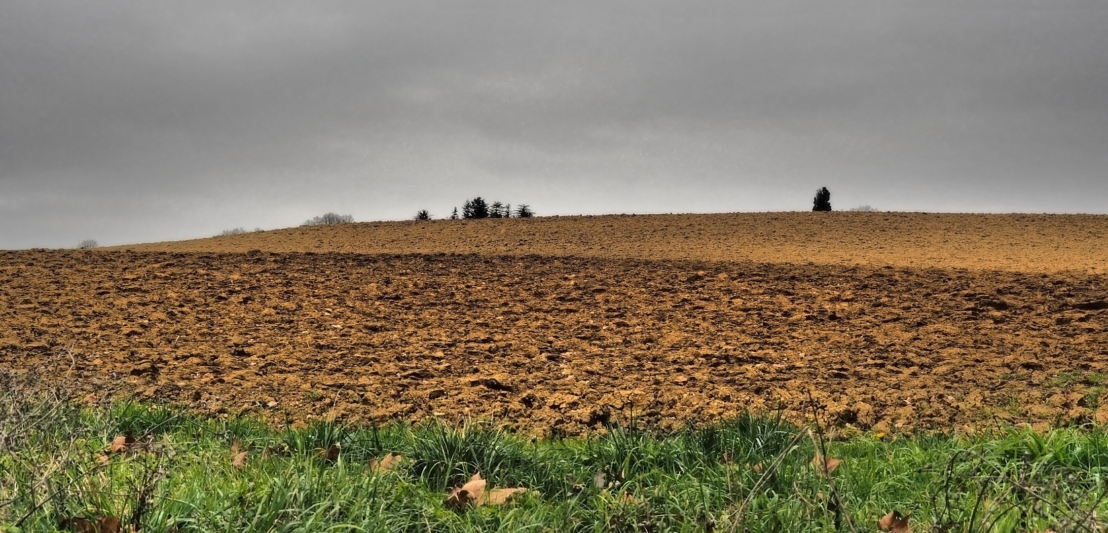 Repos hivernal en campagne