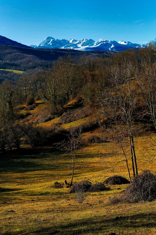 Reposant de Philippe SAINT-MARTIN 