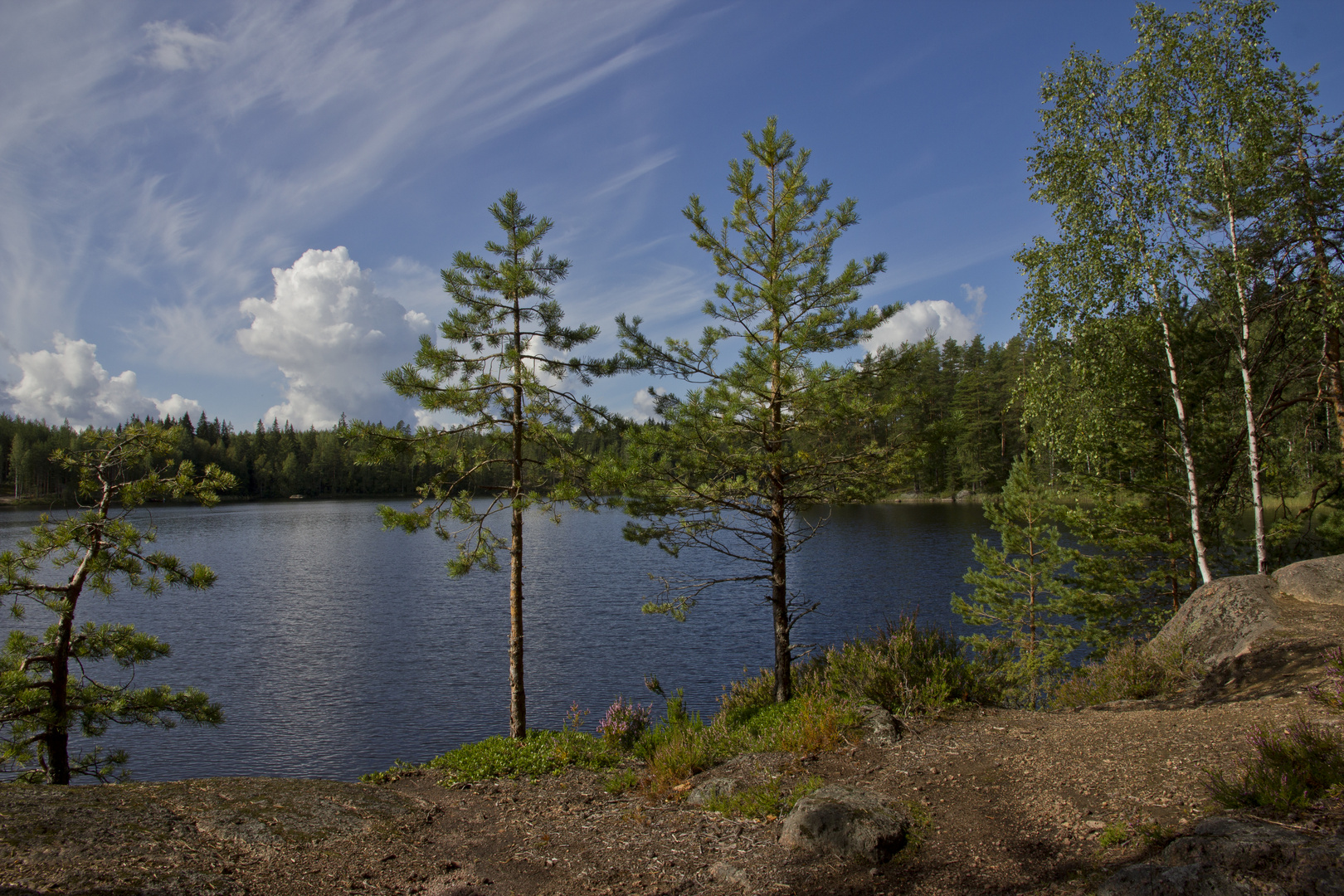 Repovesi National Park