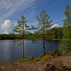 Repovesi National Park