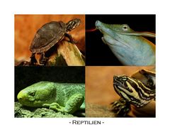 Reptilien