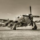 Republic P-47 Thunderbolt