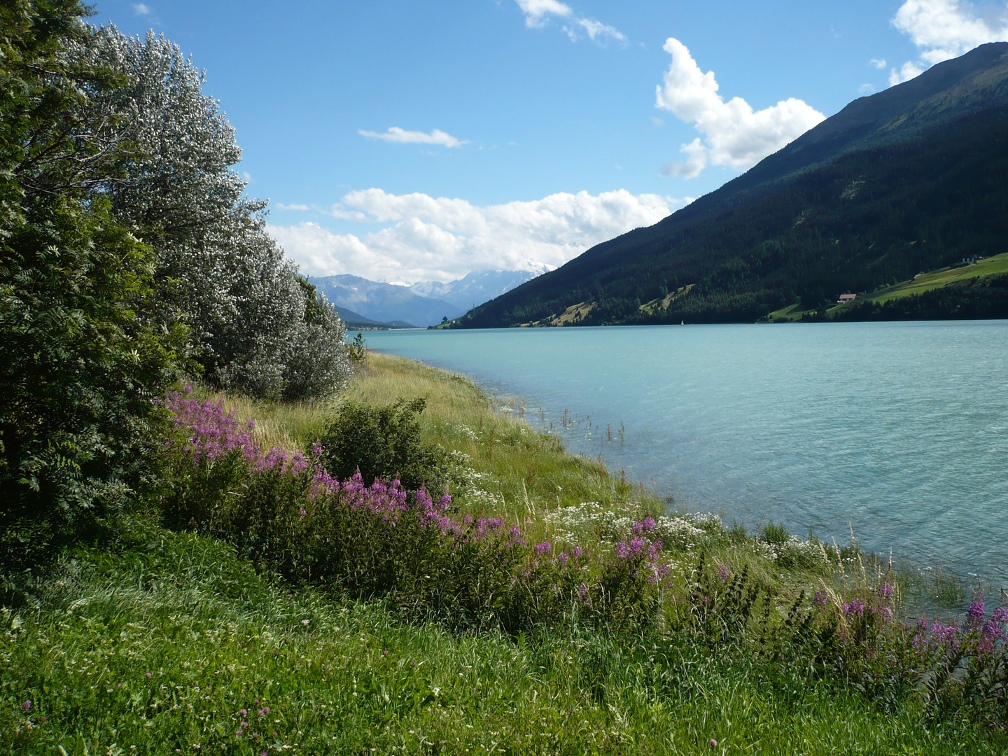 Reschensee