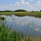 ...résemment au bord du lac !!!...