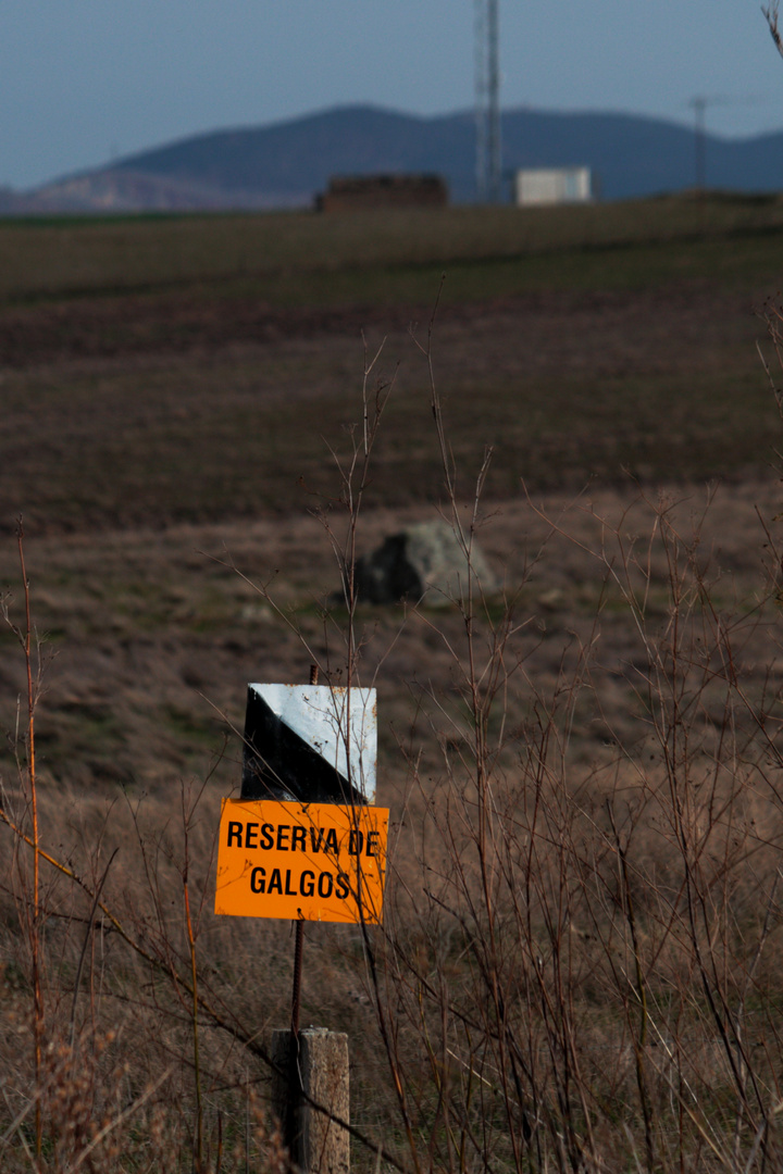 reserva de galgos