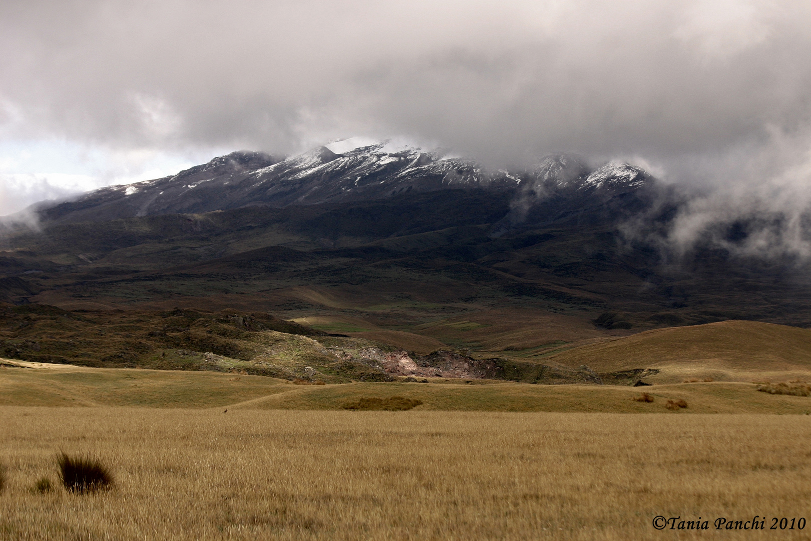 Reserva Ecológica Antisana