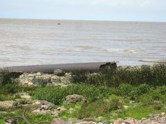 Reserva Ecológica Costanera Sur - Buenos Aires