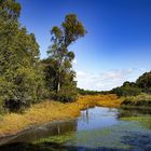 Reserva Ecologica El Encuentro