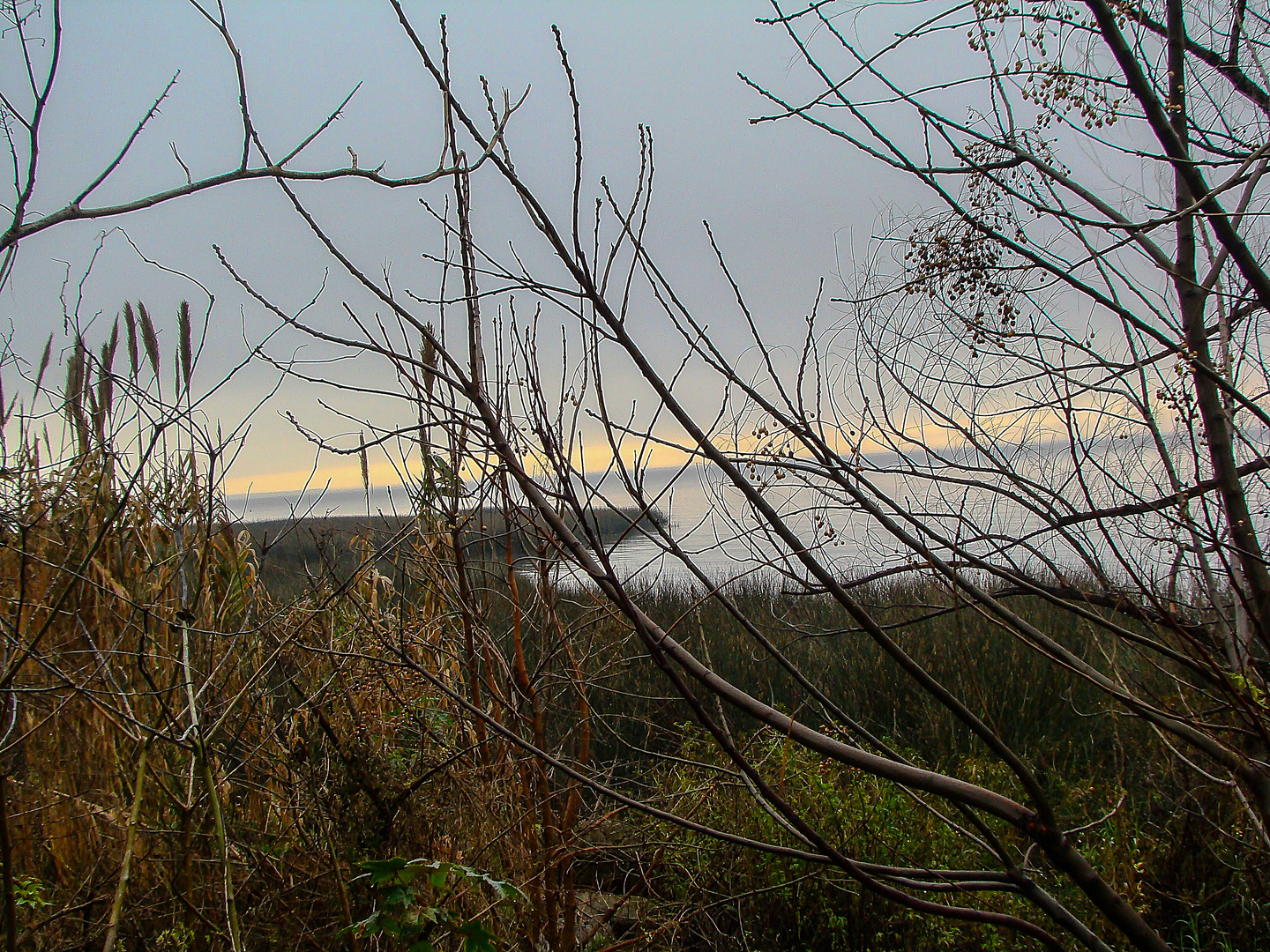 Reserva ecologica Ribera Norte