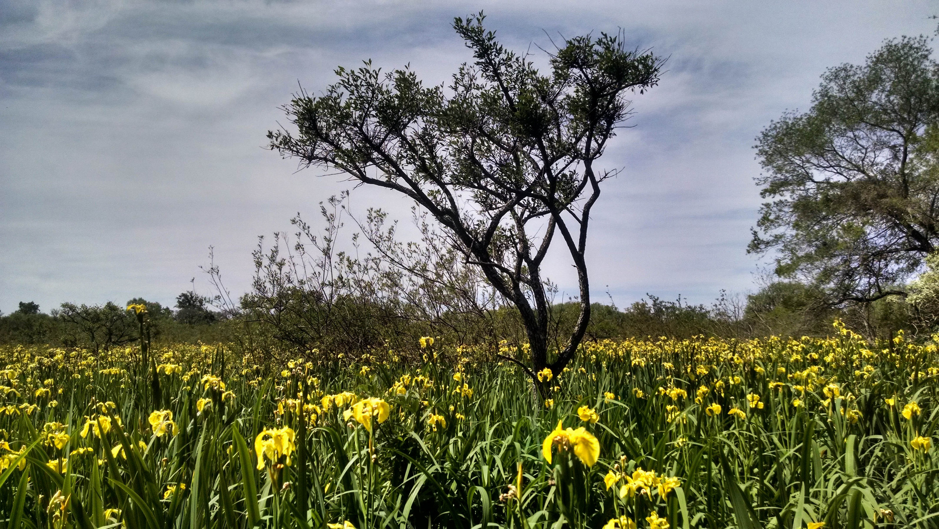 Reserva Ecológica Ribera Norte, Buenos Aires, Argentina