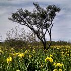 Reserva Ecológica Ribera Norte, Buenos Aires, Argentina